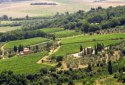 Итальянская полиция обнаружила поддельные вина