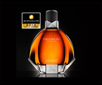 Очередная награда для Hine Triomphe