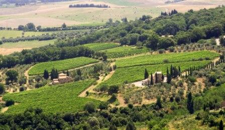 Итальянская полиция обнаружила поддельные вина