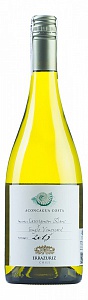 Errazuriz Sauvignon Blanc Single Vineyard Aconcagua Costa