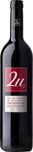 Quinta do Conde Duas Uvas Tinto