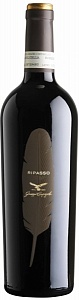 Campagnola Valpolicella Ripasso Classico Superiore