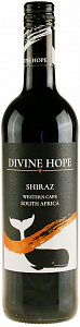 Divine Hope Shiraz
