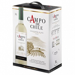 Campo de Chile Sauvignon Blanc 3L